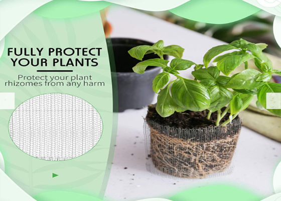 Πλέκοντας καλάθι 0.12mm γοπχερ φρουράς ρίζας χαλκού διάμετρος